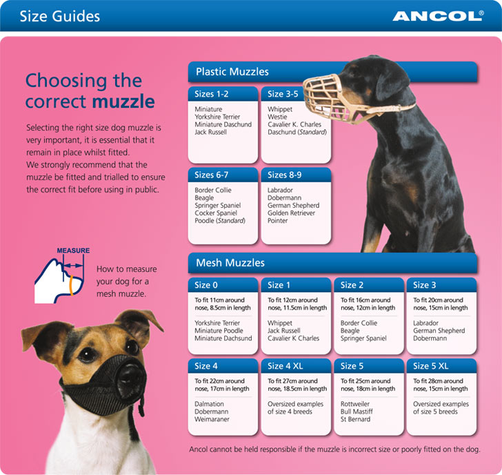 Ancol Mesh Dog Muzzle Size 1 - Training and Muzzles - Farm & Pet Place